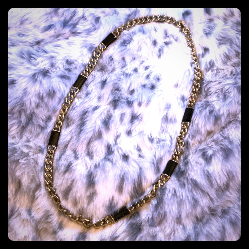 Banana republic long chain necklace